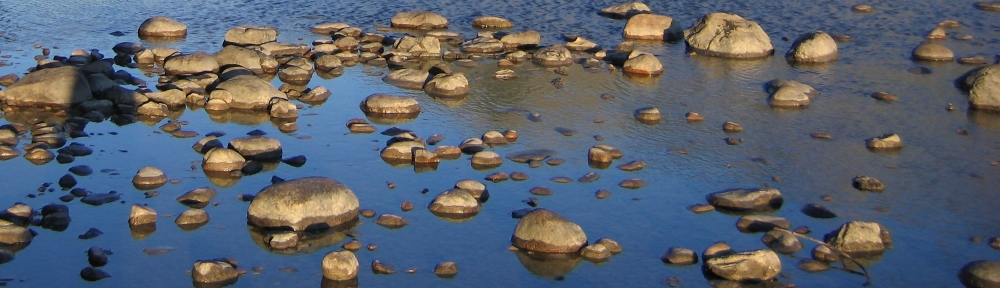 Karin, Roger, Livio und Fabio on tour
