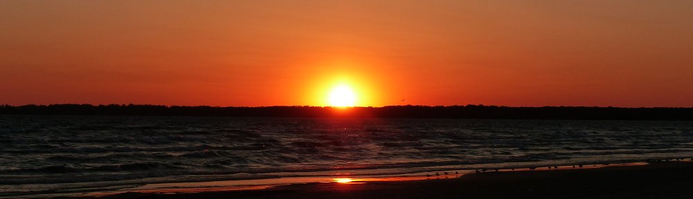 Karin, Roger, Livio und Fabio on tour