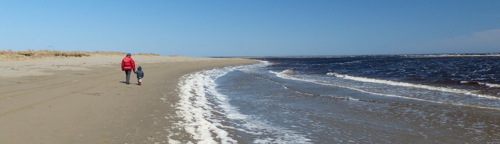 Karin, Roger, Livio und Fabio on tour