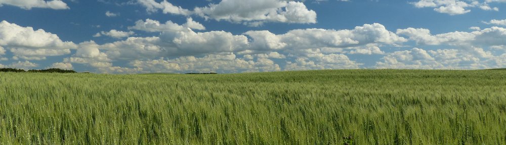 Karin, Roger, Livio und Fabio on tour