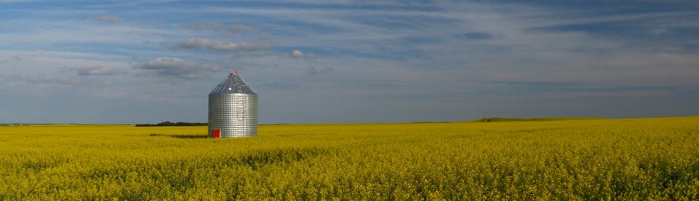 Karin, Roger, Livio und Fabio on tour